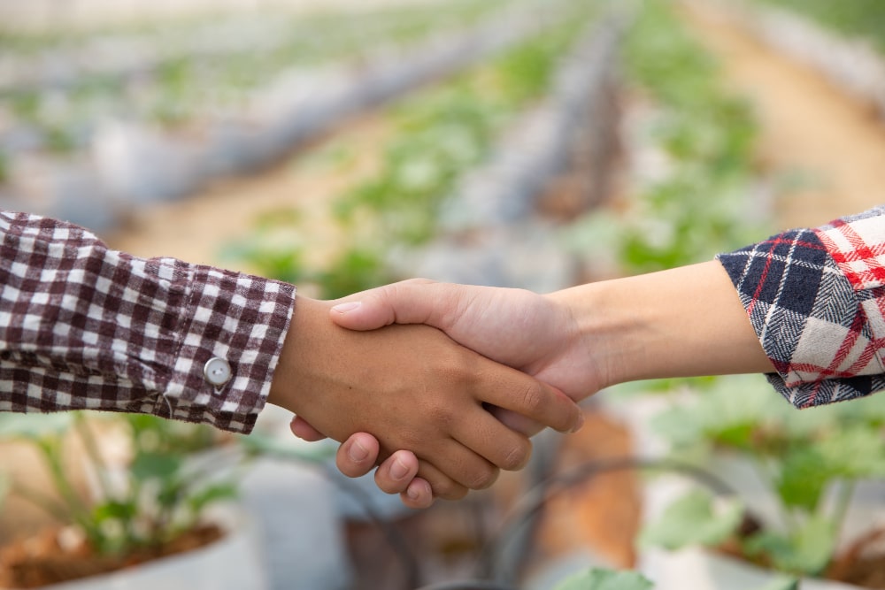 Ways to Find Genuine Buyers and Build Long-Term Partnerships in B2B Chilli Trade