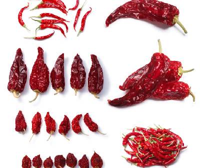 Variety of dry red chillies at agrospice