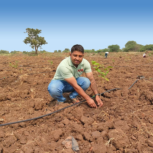 Building Biodiversity At Agrospice