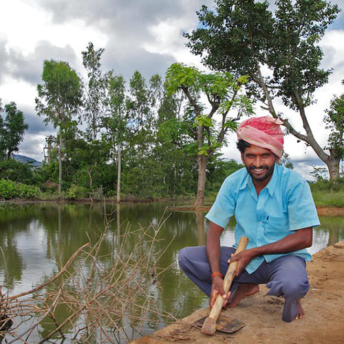 Agrospice watershed projects