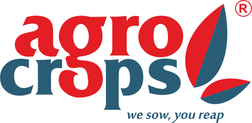 Agrocrops: Indian Chilli Exporters