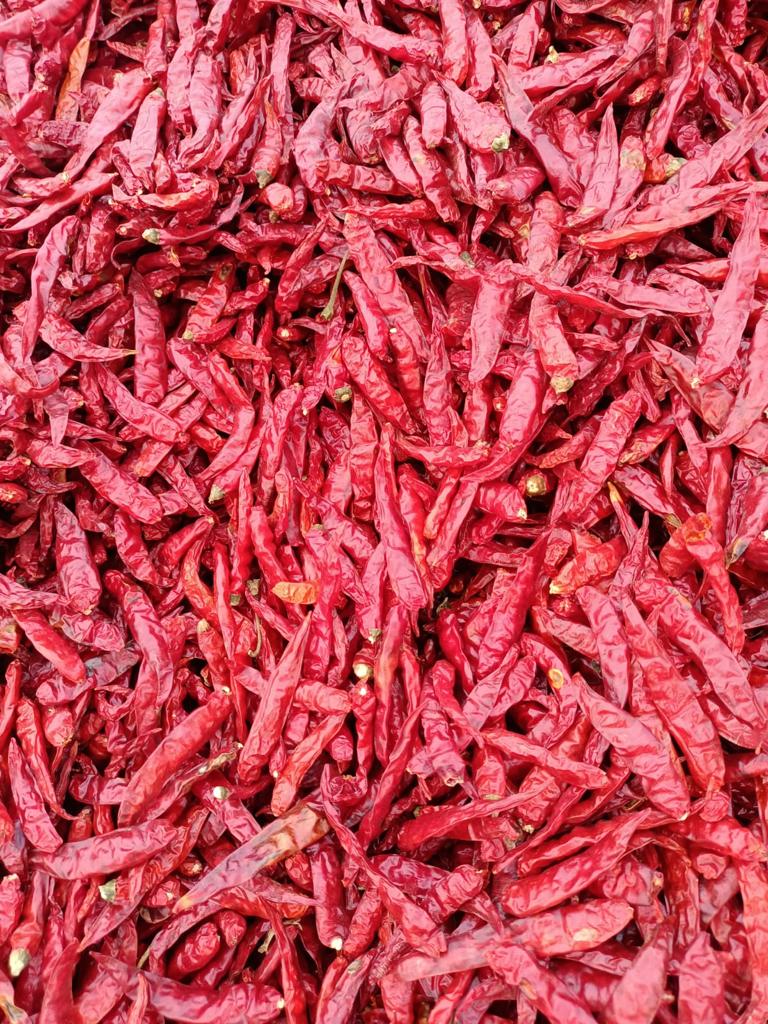 Agrospice - Small Dry red chilli