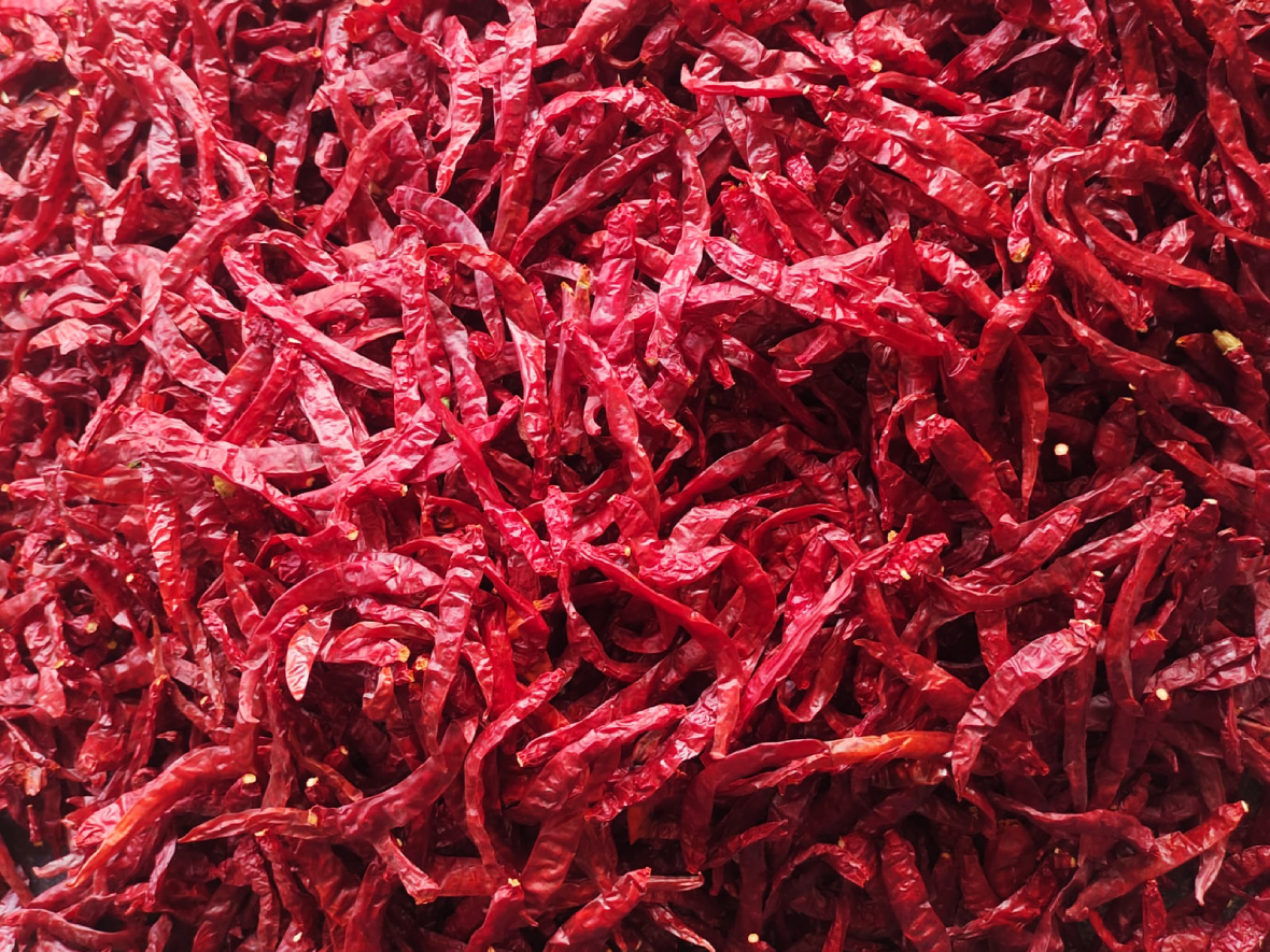 Agrospice - Small Dry red chilli