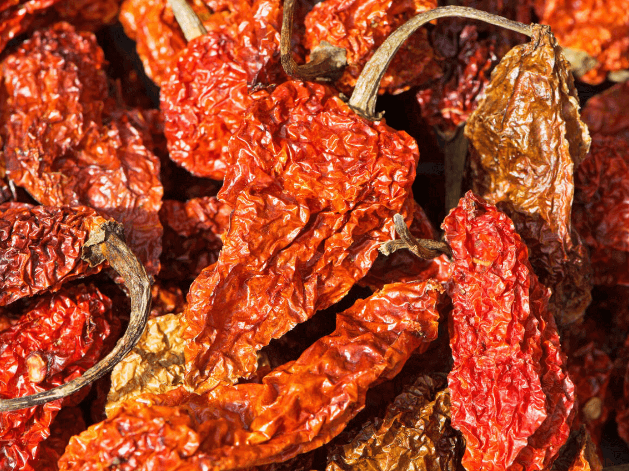 Bhut Jolokia Chili