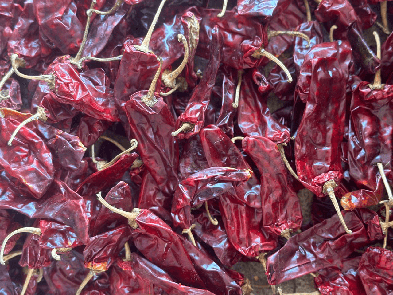 Chapata Chili