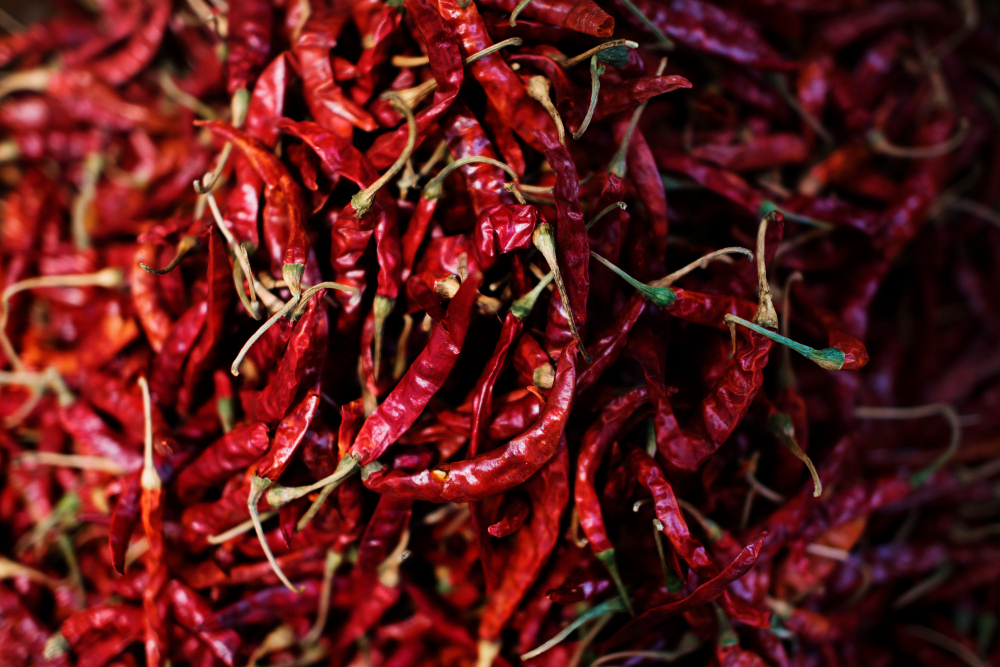 How to Import Dry Red Chillies from India: A Complete Guide for Global Buyers