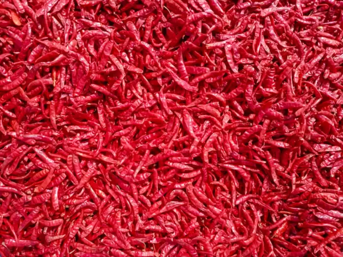 Why Teja Chilli is a Favorite Among Exporters and Traders