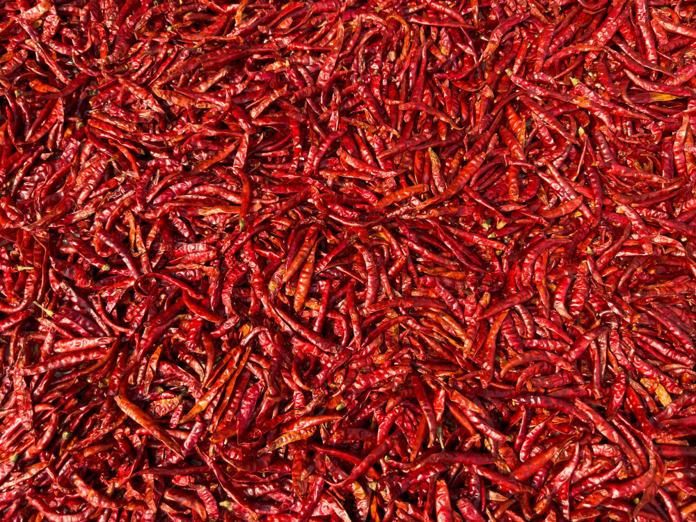 Top 10 Dry Red Chilli Varieties Exported from India: Uses, Heat Levels, and Export Markets