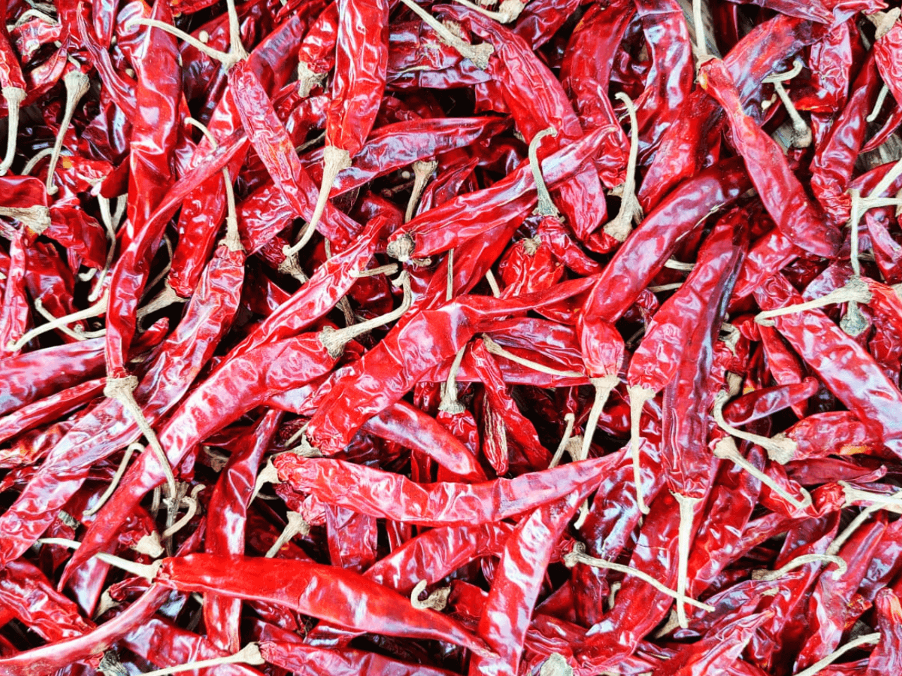 Why Wonder Hot Chillies Are a Favourite
                                     Among Spice Lovers