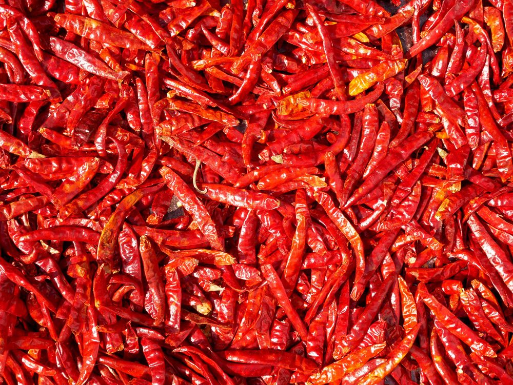 The Future of Chillies: Global Demand, Indian Exports & Price Trends