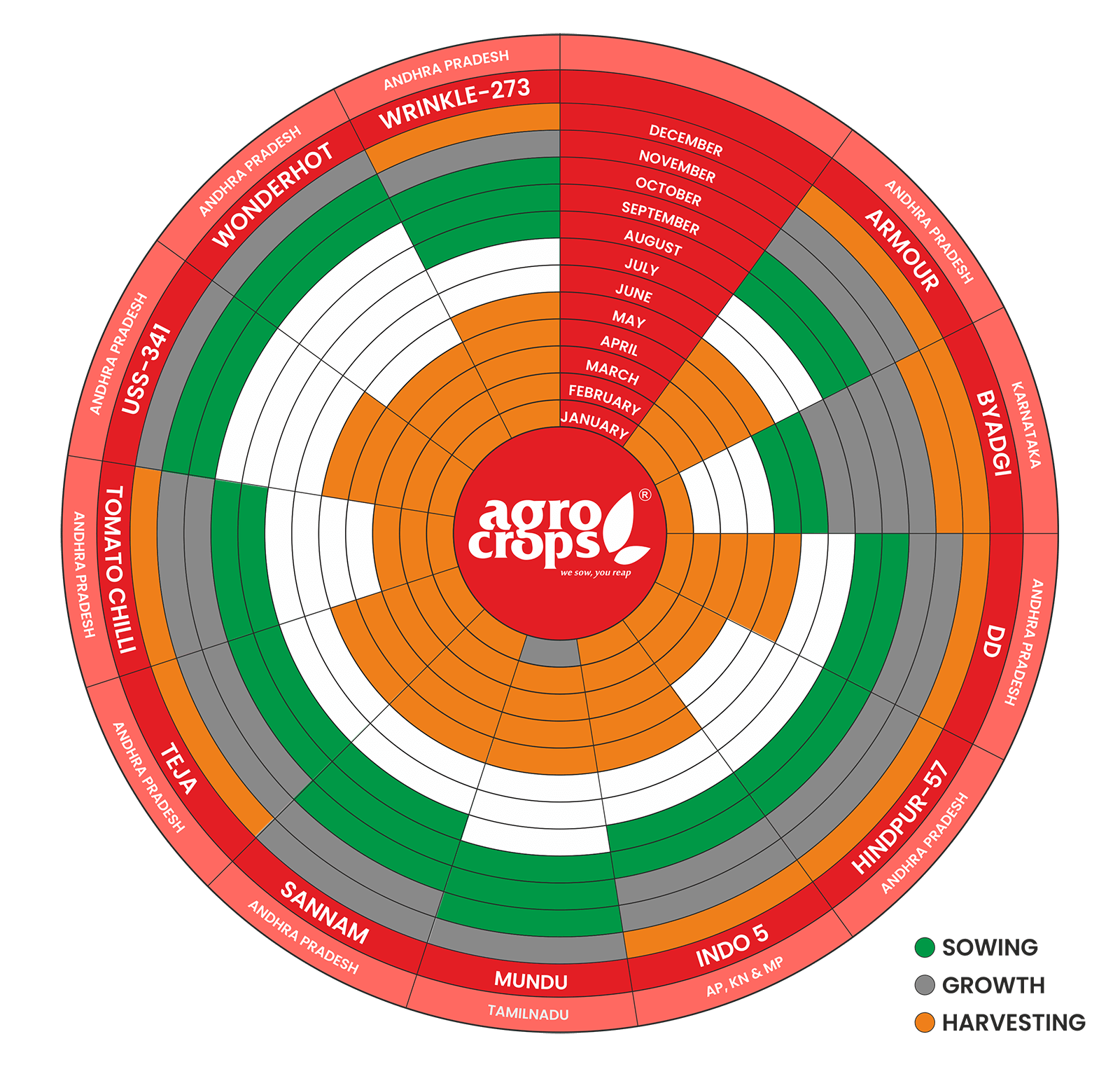 Agrospice dry red chilli harvest calendar graph