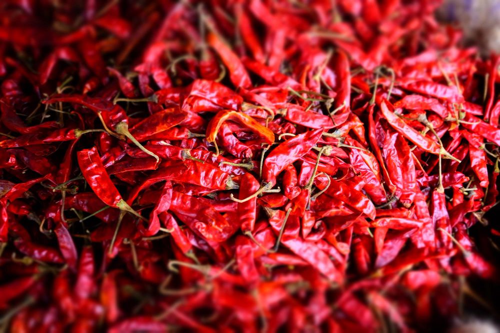How Chilli Exporters Ensure Food Safety and Traceability