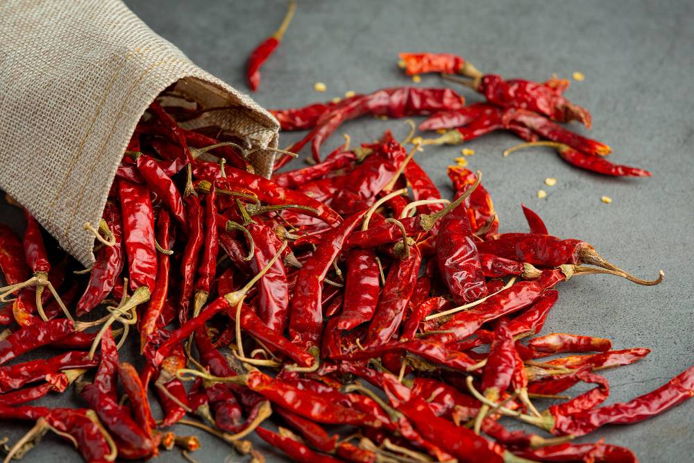 India’s Red Chilli Export Surge: Key Markets and the Speciality of Guntur Chillies