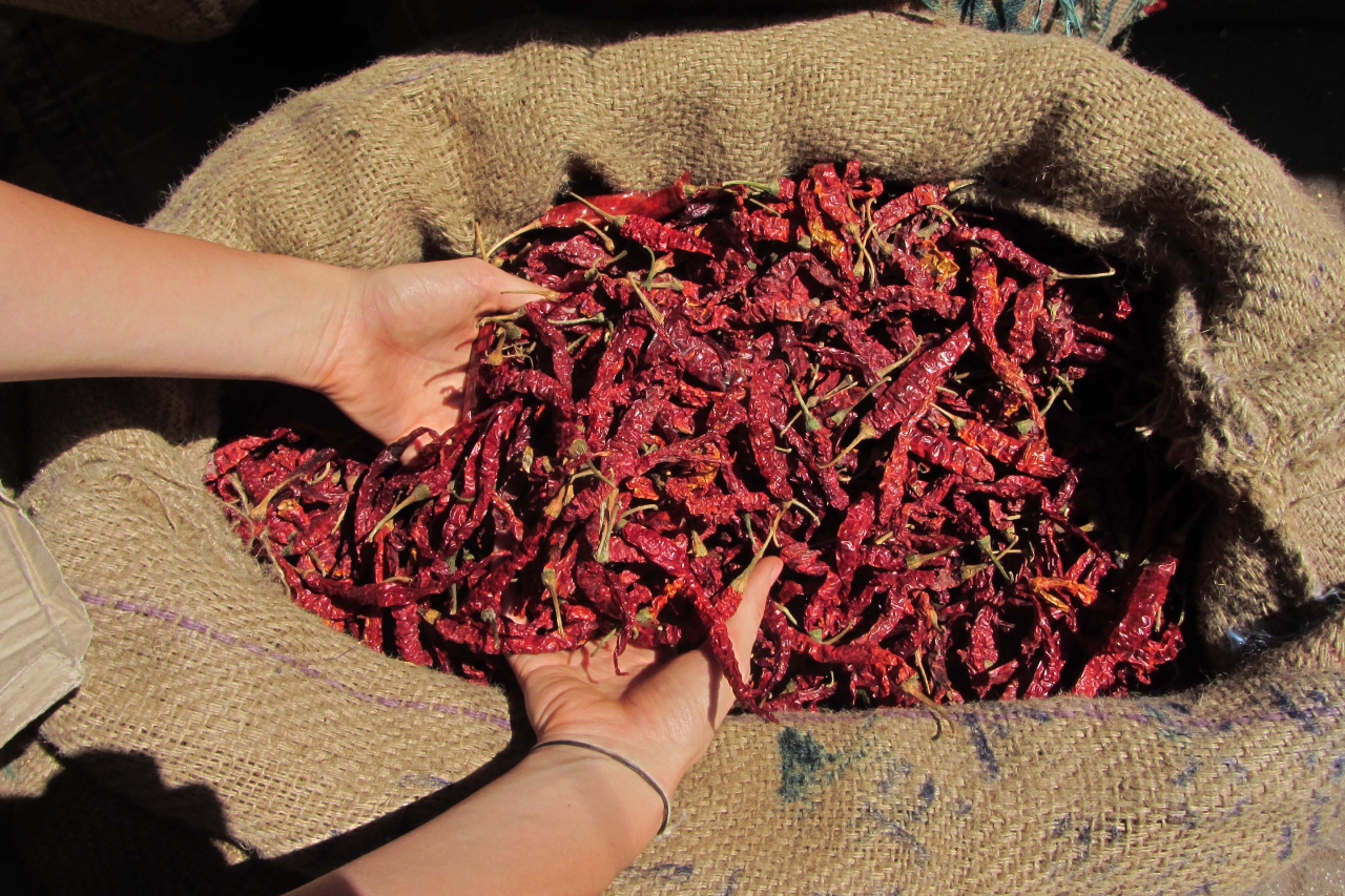 The Future of Chillies: Global Demand, Indian Exports & Price Trends