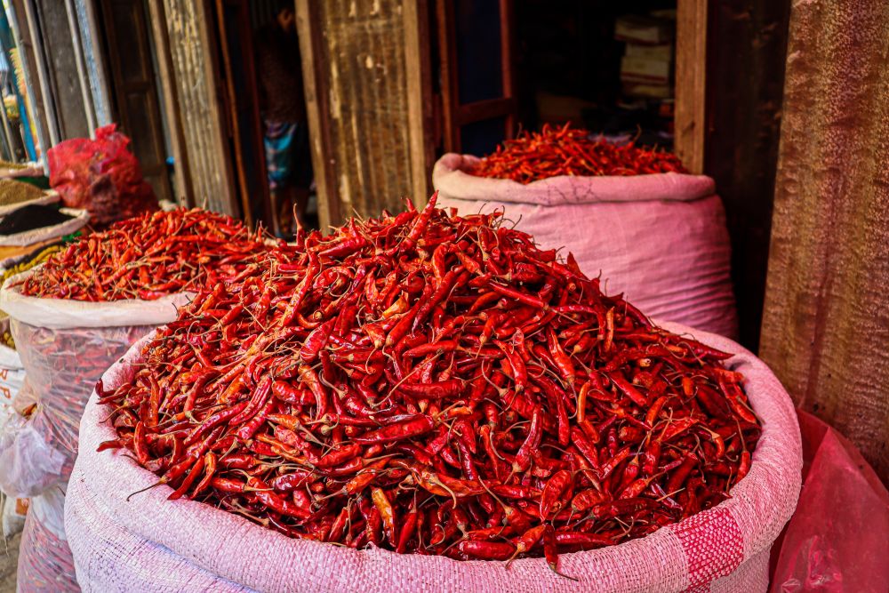 Popular Red Chilli Types from India Loved in Global Markets