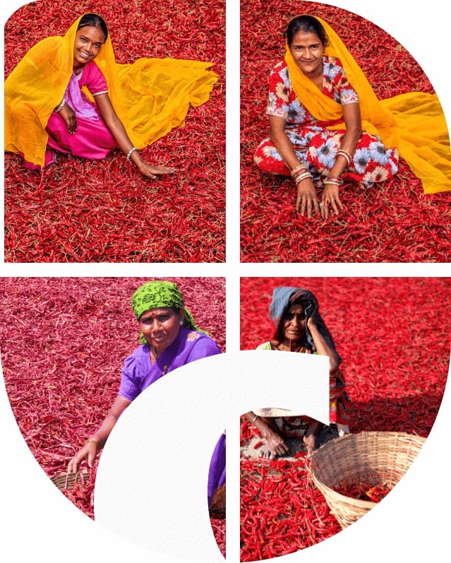 Agrospice- Women workforce